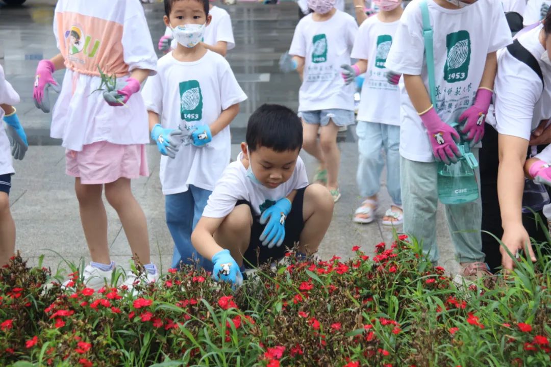 1658797449571494.jpg 640 (6).jpg